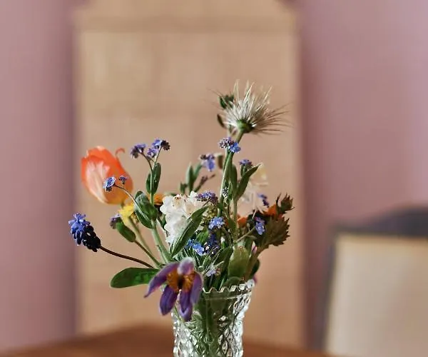 Schloss Drosendorf Stadt